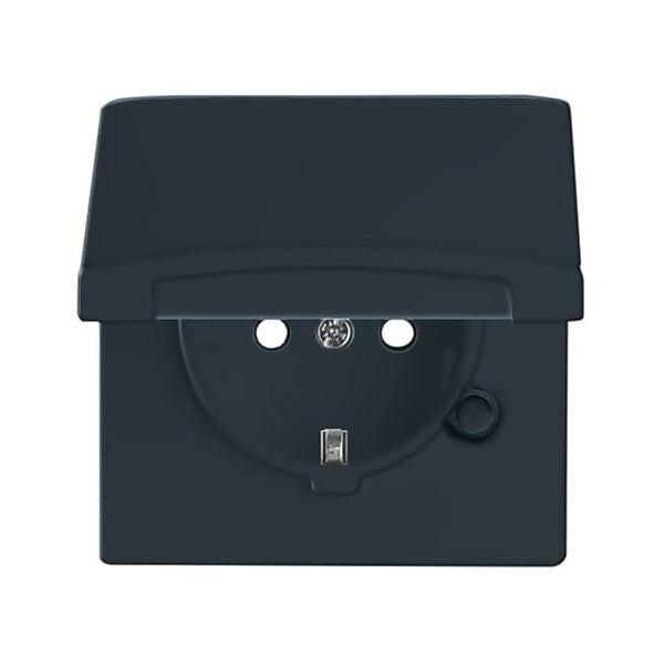 Busch-Jaeger Schuko-Steckdoseneinsatz IP44 anthrazit 20 EUGKB-35-101